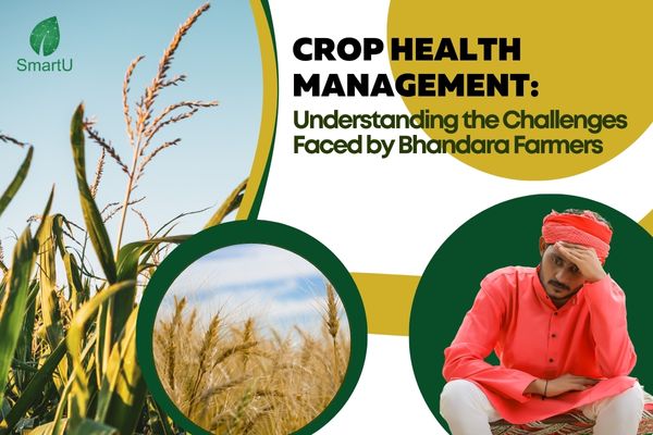 Crop Health Management: Understanding the Challenges Faced by Bhandara Farmers